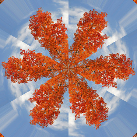 Autumnflake