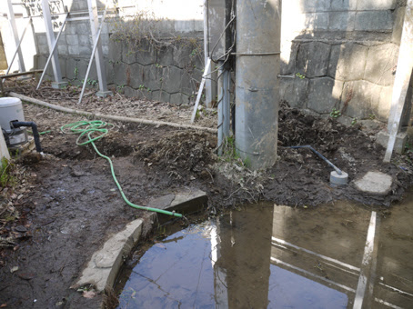 井戸水の濁りが取れて綺麗な水が出ていました 平岡ビオトープ通信