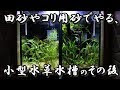 √70以上 田砂 水草 レイアウト 482006-田砂 水草 レイアウト