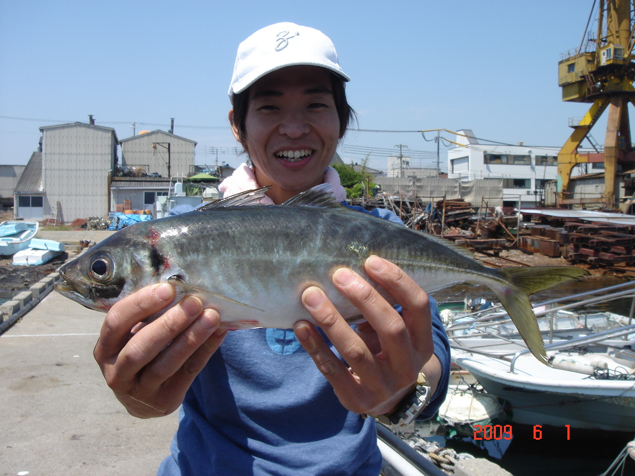 大きいアジ ジャンボイサギ ６月１日タイ船釣果です 魚英のブログ
