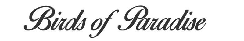 15+ Good Quality Design Freebies To Download