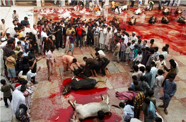 Eid al-Adha 2015: History, facts and all you need to know 