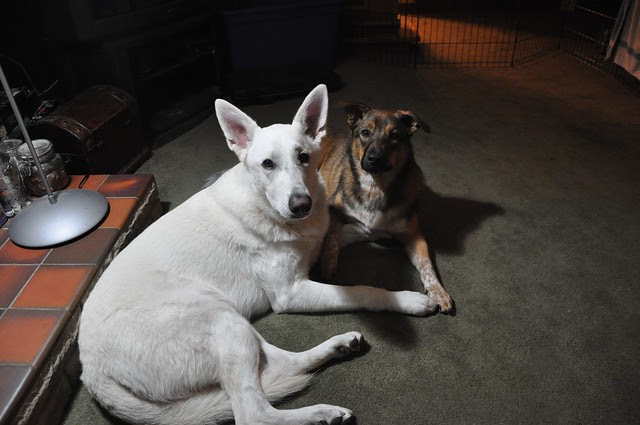 Oct. 8-the boys