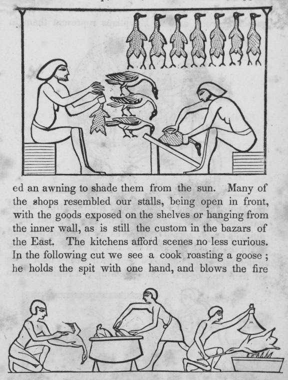 Representation of an Egyptian poulterers shop; representation of ...