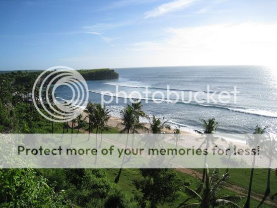 indah is beauty, balangan beach, bali, coconut tree, coral, amriholiday, dreamline, Beautiful Holiday Destinations