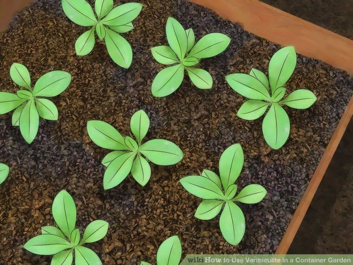 Use Vermiculite in a Container Garden Step 7.jpg