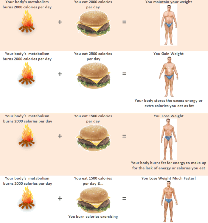 How to Lose Weight Fast What to Eat