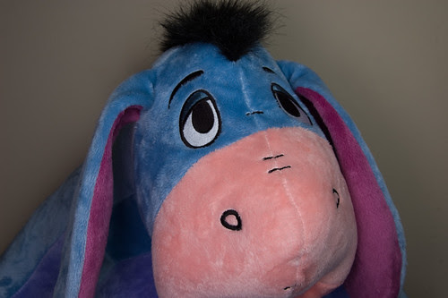 Eeyore Ringlight