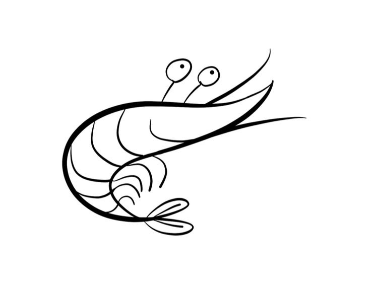 Shrimp Coloring Page at GetColorings.com | Free printable colorings