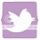  photo twitter-1.jpg