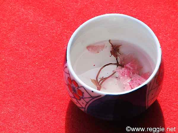 20Japan Cherry Blossom Forecast Kyuhoshi