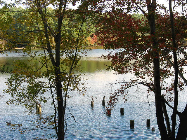 myworldviewthrtrinflo