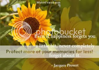 Happiness Quotes Animation Clipart Graphics Happy Quotes