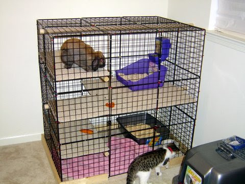 My rabbit keeps digging in her cage! Anyone know how to ...