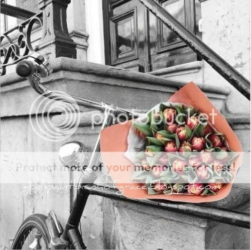  photo bouquet_zpszljs1hhg.jpg