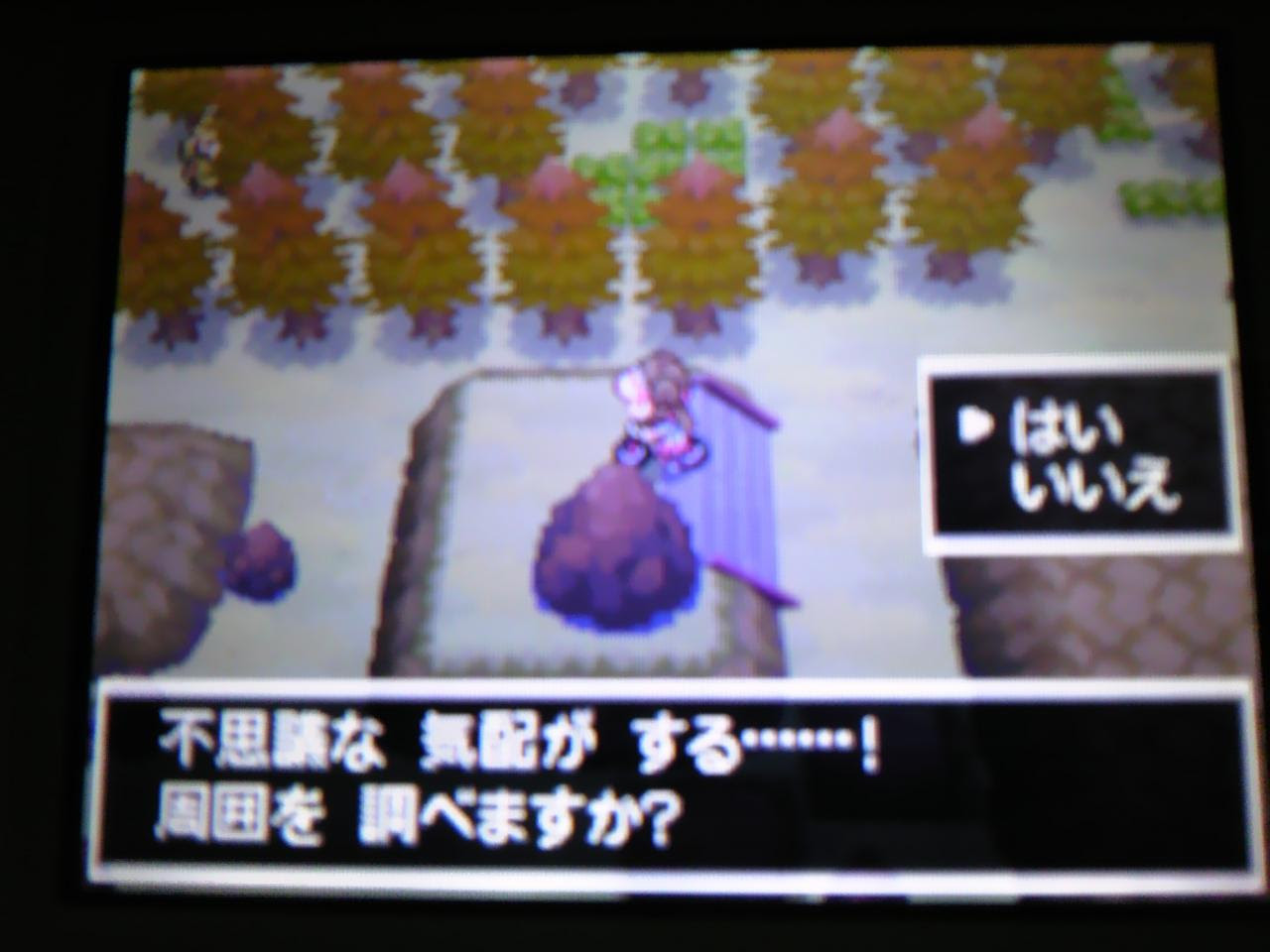 ポケットモンスターbw2 9 チラシの裏 2枚目
