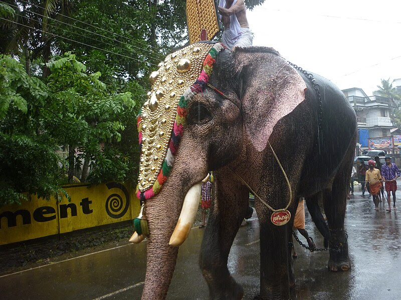 File:Athachamayam 3.JPG