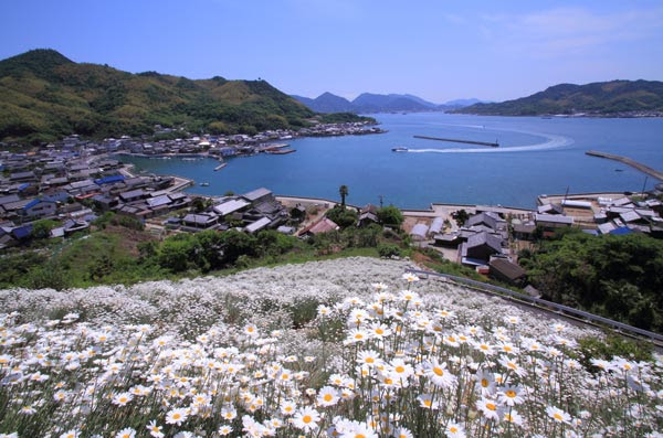 瀬戸の花嫁 歌詞の舞台