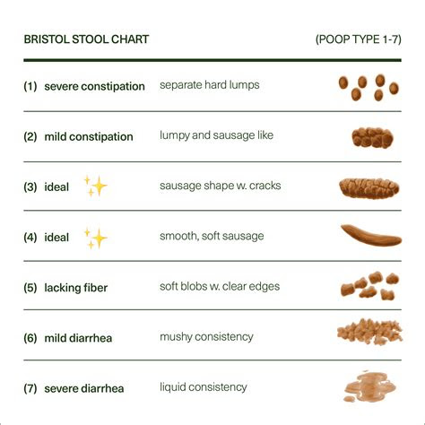  theres a scale for your poop heres how to read it seed