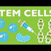What Can Stem Cells Do?