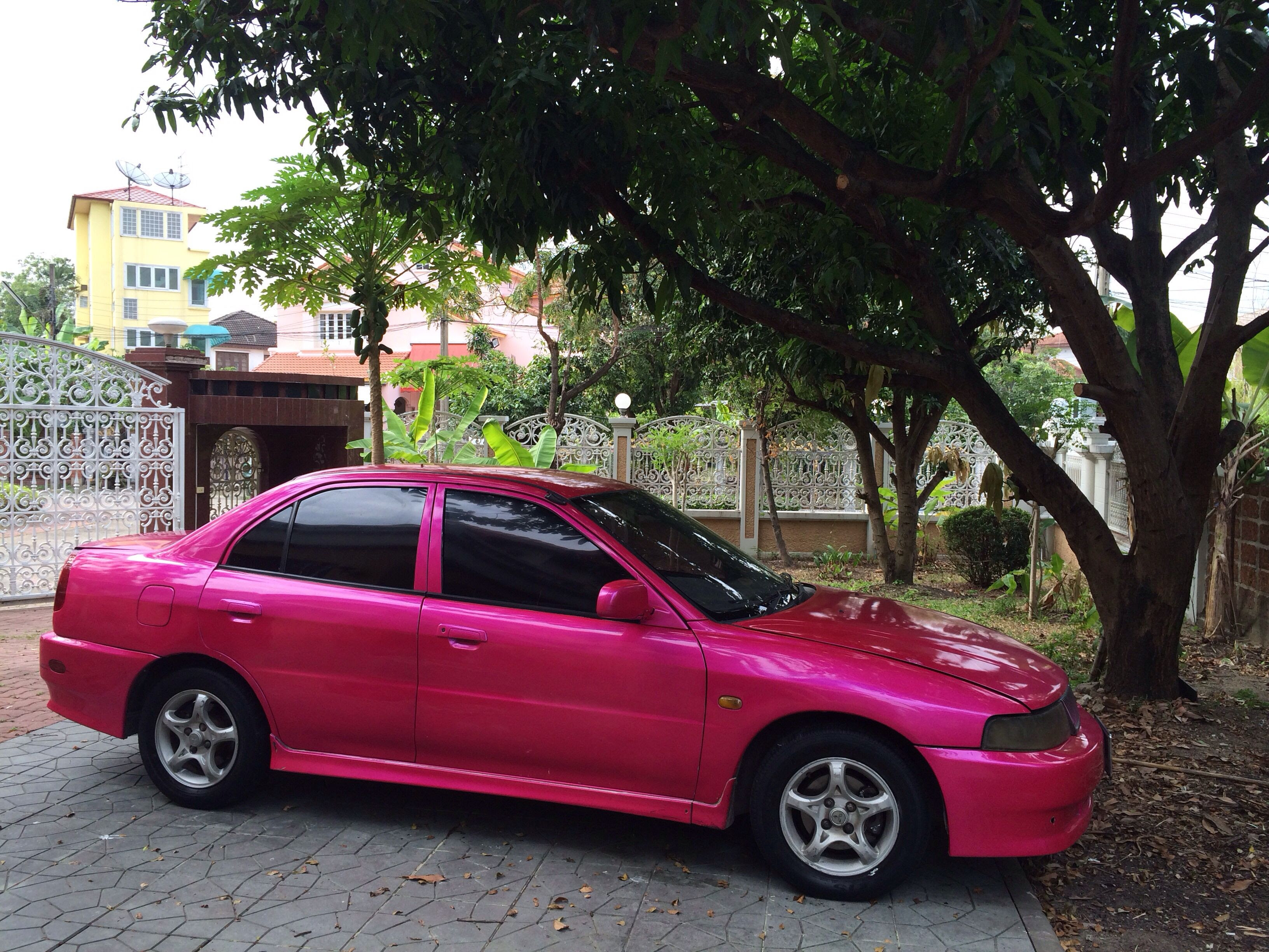 ピンク色 Thai Landscape