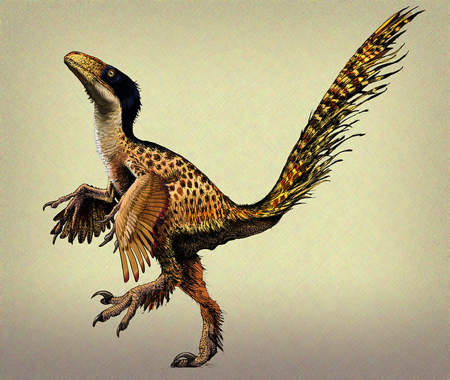utahraptor dancing