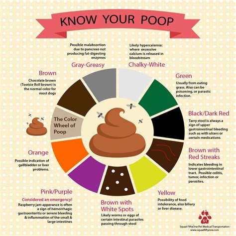 Devised by doctors in the bristol royal infirmary, england, and based on the bowel movements of nearly 2,000 people, the bristol stool chart characterizes the . bad stool colors stool color changes and chart what does it mean