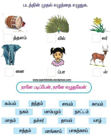  sample tamil worksheets worksheets samples