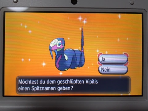ポケモンxy 色違い判定のタイミング フリーターでも趣味がしたい