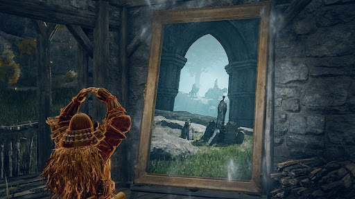 Flightless Bird Painting Elden Ring