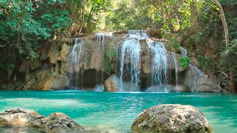 calming  nature sounds zen  youtube