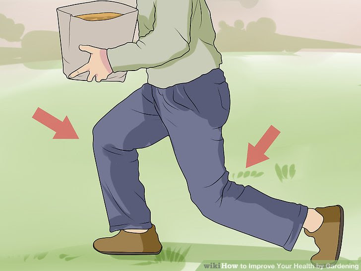 Improve Your Health by Gardening Step 4.jpg