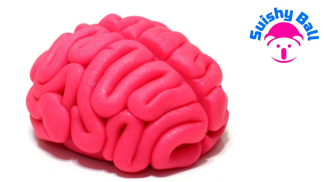 modeling clay school YouTube Doh  Play Brain!