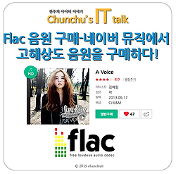 Flac 음원 구매 - 네이버 뮤직에서 고해상도 음원을 구매하다!