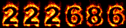 net visitor statistics