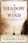 the shadow of the wind