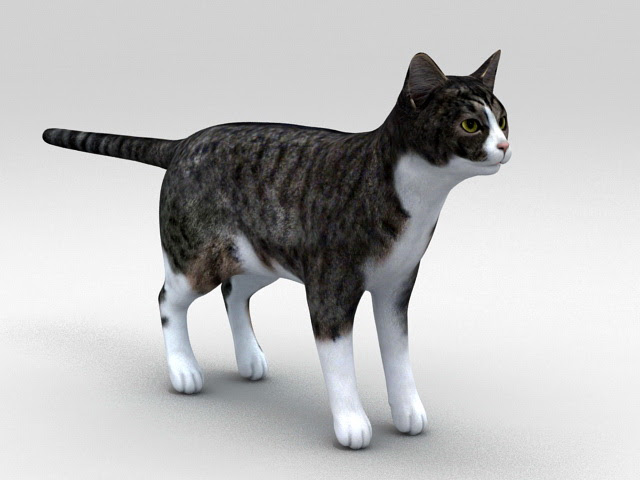 Classic Tabby Cat  3d  model 3ds Max files free download  