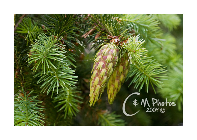 June2109_0072ew