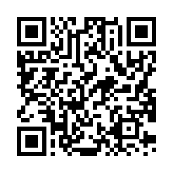 Generador de Códigos QR Codes