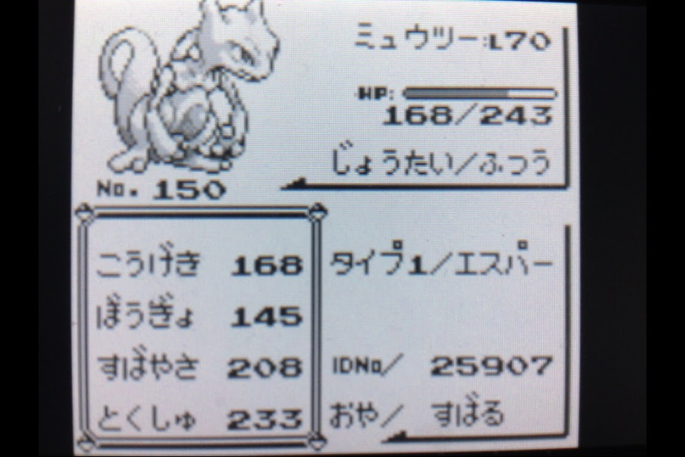 うさぎの隠れ家 ポケットモンスターを遊びつくす日記 Ex