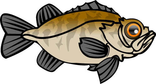 根魚も狙えるエギングロッドの選び方 根魚を釣ってボウズを回避