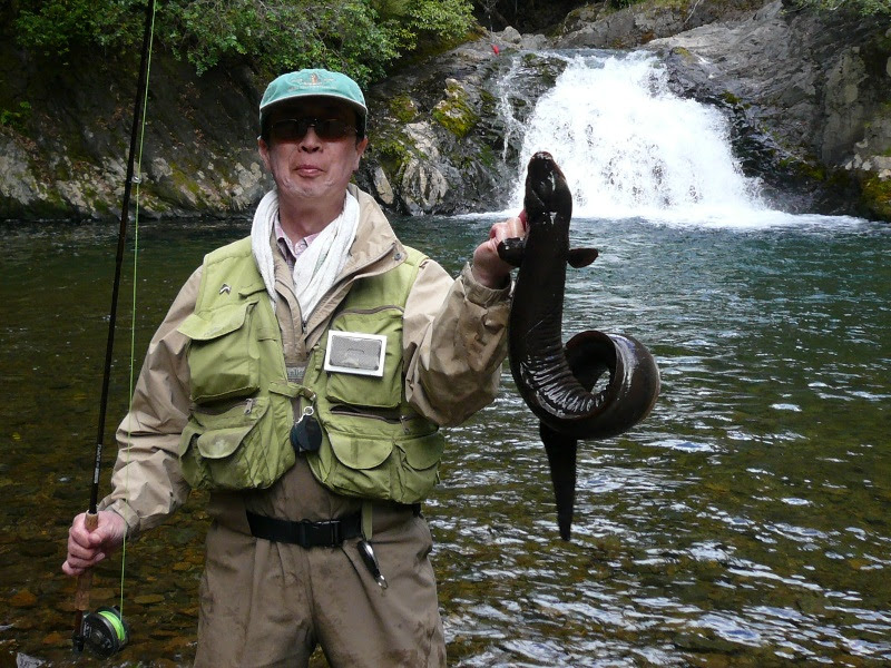 フライｄｅ海外釣行 13年6月