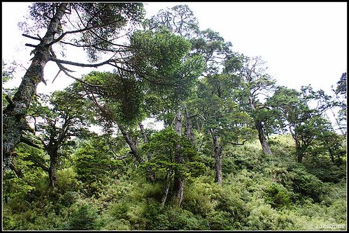 DSC06864