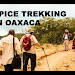 Pasilla Oaxaca Free Download Videos Mp3 and Mp4