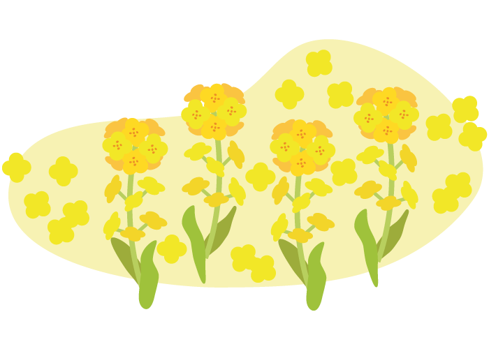 春の花 菜の花 ふでこや 無料イラスト