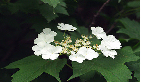 2013년 9월 13일 오전 12:50