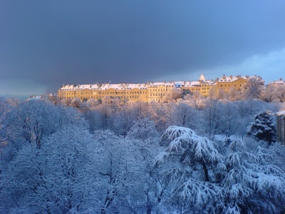imagenes de paisajes hermosos. Los hermosos paisajes nevados