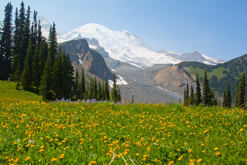 Rainier