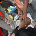 The Barbers at Banganga on Pitru Paksh.. 2012