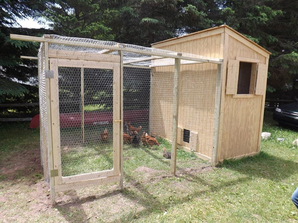 Ana White | My incredible chicken coop and run! - DIY Projects